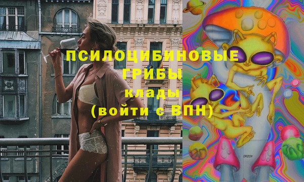 ГАЛЛЮЦИНОГЕННЫЕ ГРИБЫ Белокуриха