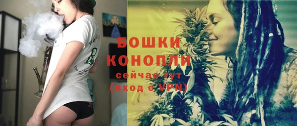 ГАЛЛЮЦИНОГЕННЫЕ ГРИБЫ Белокуриха
