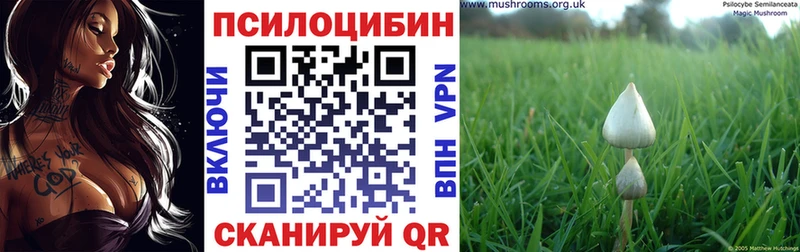 Галлюциногенные грибы ЛСД Борисоглебск